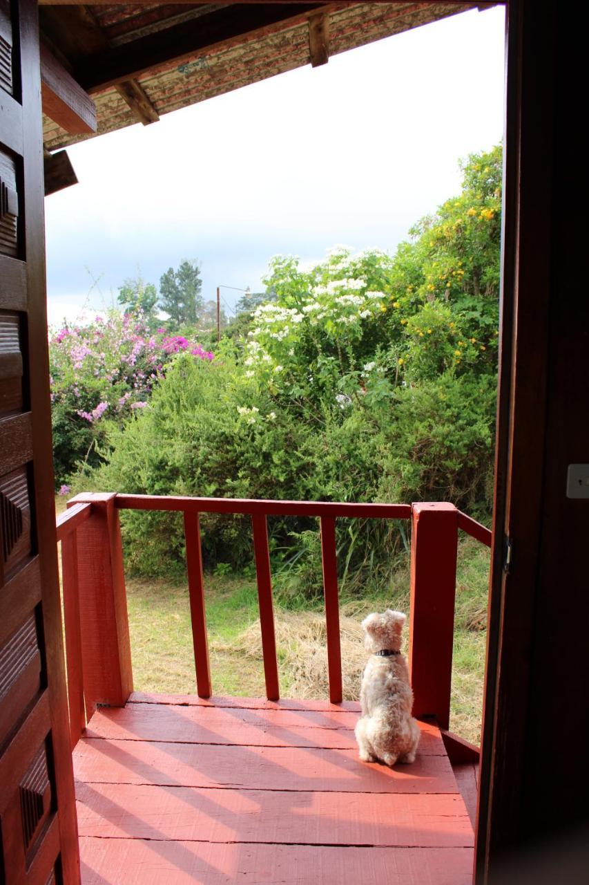 Hotel Las Fresas Del Volcan Poas Sabana Redonda Esterno foto